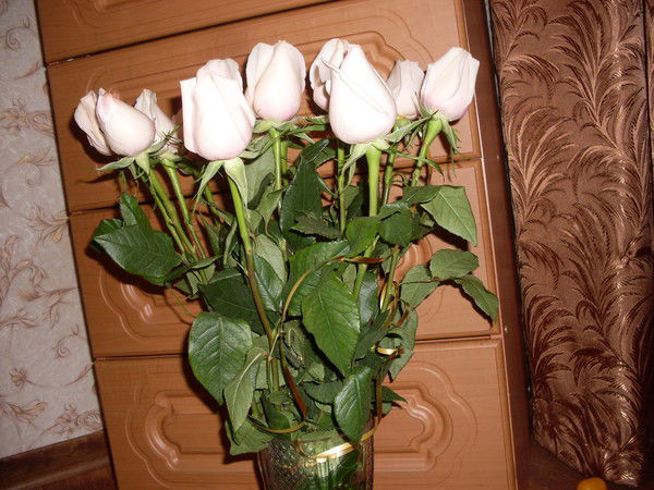 Любовь Гектина