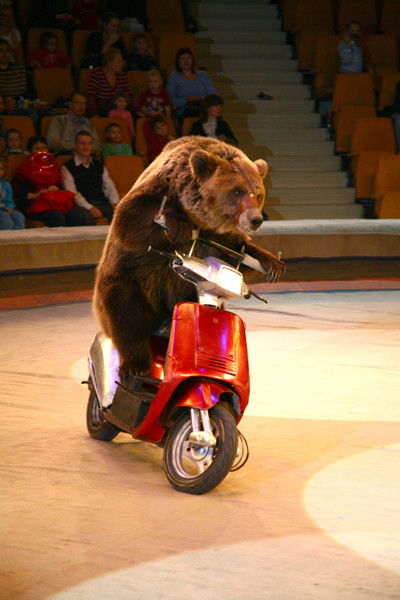 Артем Силенко