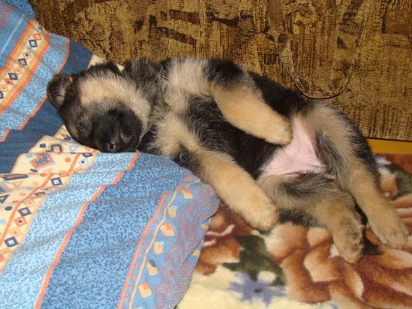 Марина Кустинская