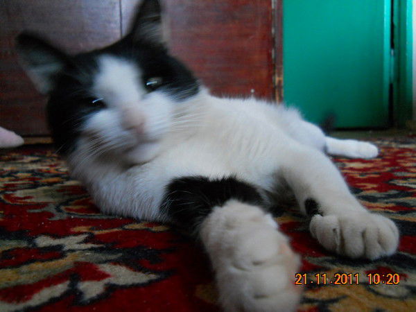 Игорь Андреев