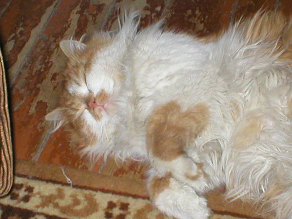 Алик Ефимов