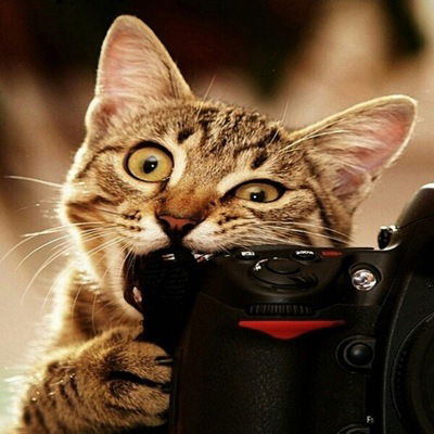 Настя Матвеева