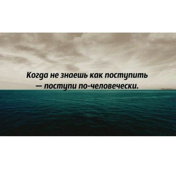 Хасан Эльсиев