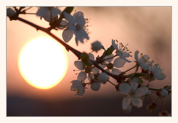 Марина Пашкова