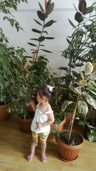 Шынар Акбашева