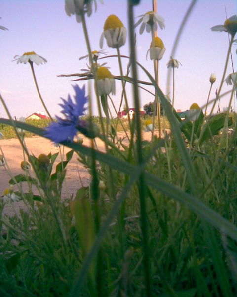 Антонина Сидун