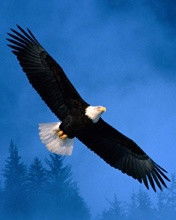 Толеген Садвокасов