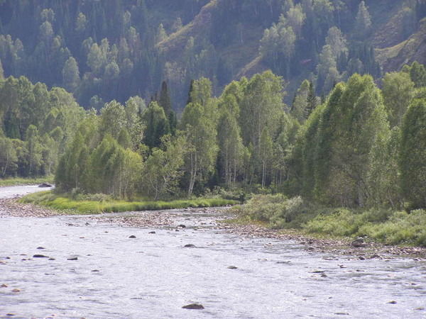 Алексей Гладких