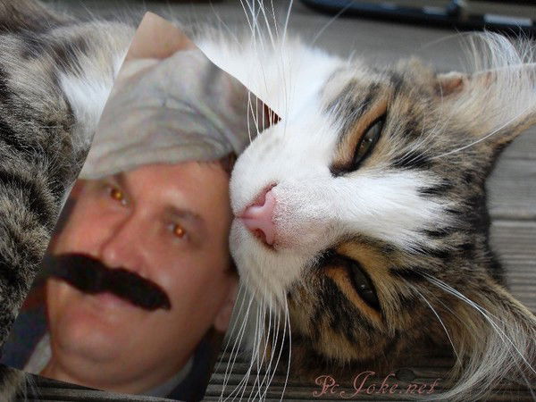 Александр Богомаз