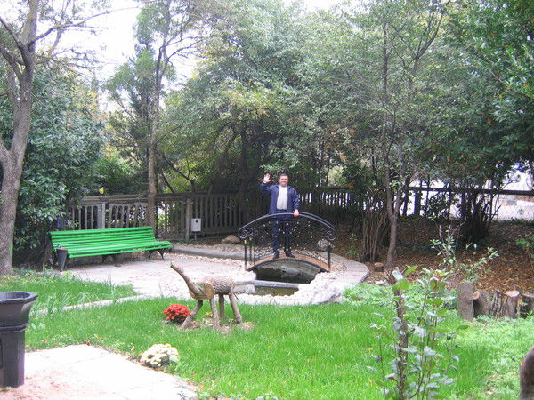 Андрей Комис