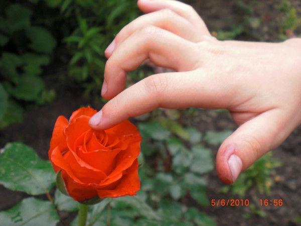 Юлия Ананко