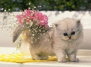 Татьяна **************