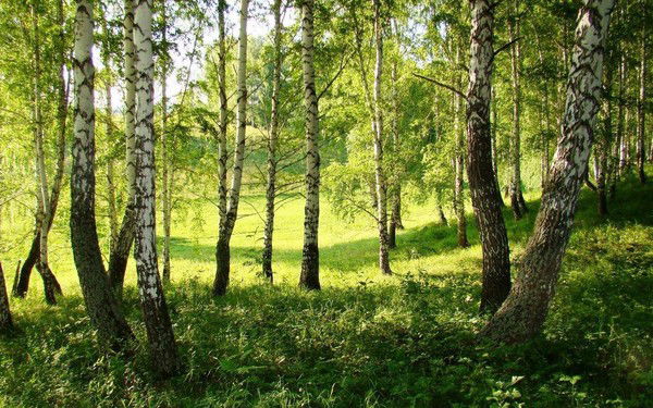 Галина Крылова