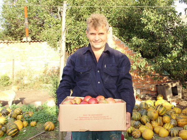 Вячеслав Степанюга