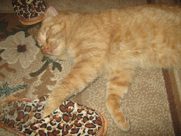 Максим Макс