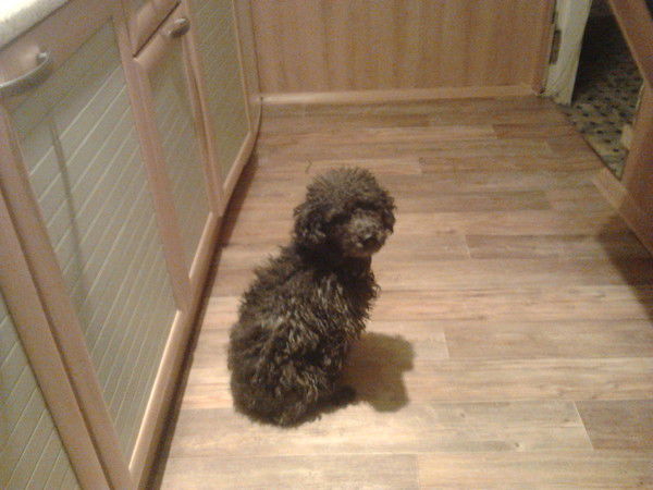 Евгений Постников