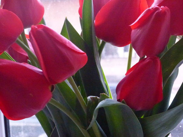 Жанара Нурмашева