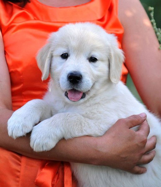 Елена Каменская