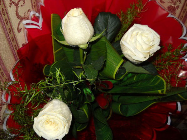 Маргарита Едаменко