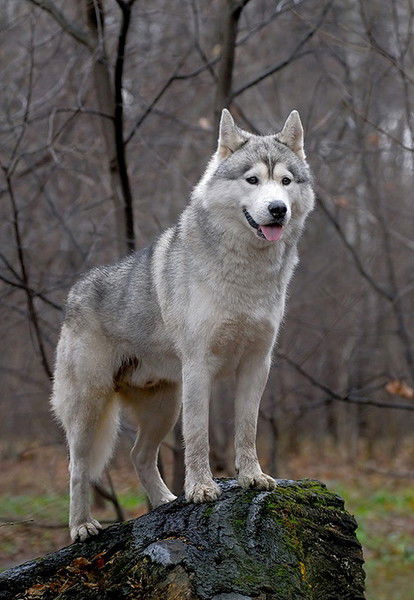 Кайрат Байдильдин