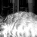 Влад Бахвалов