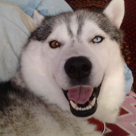 Василий Лушников