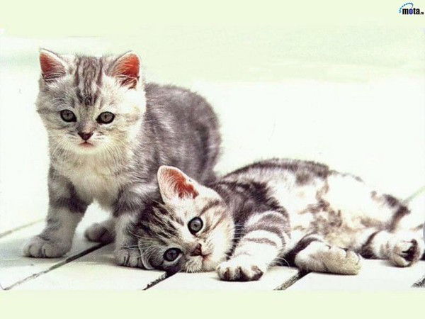 Карина Нурутдинова