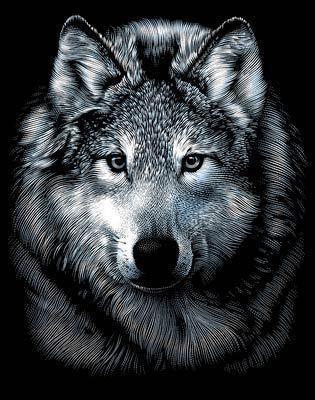 Айнур Закиев