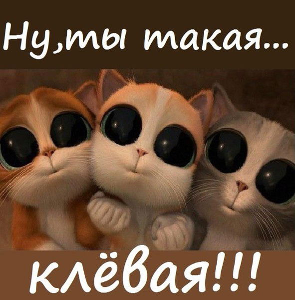 Николай Паптин