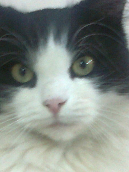 Александр Кондратюк