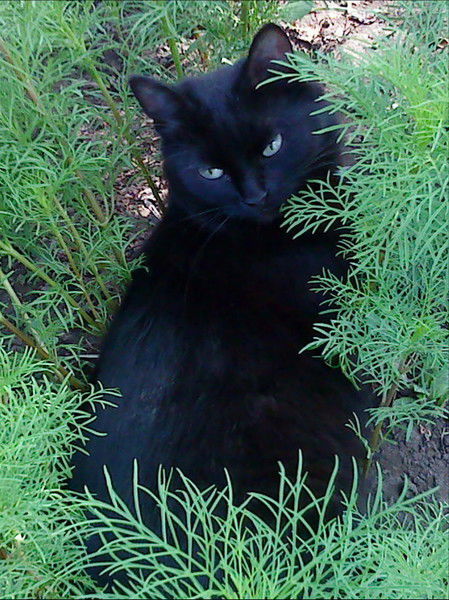 Владимир Сазонов