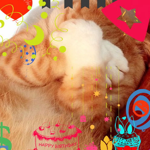 Анастасия Дружинина