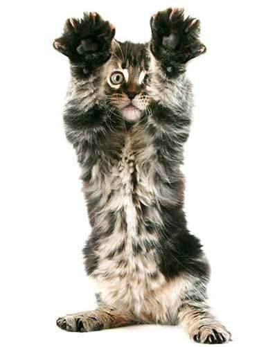 Наталья Халиманова