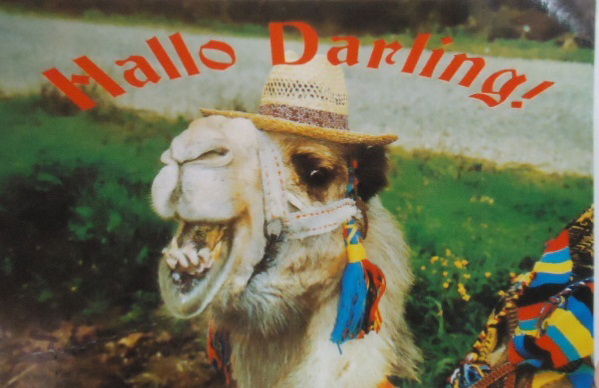 Лариса Верещагина