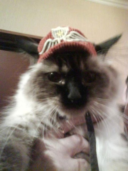 Наталия Пилявская