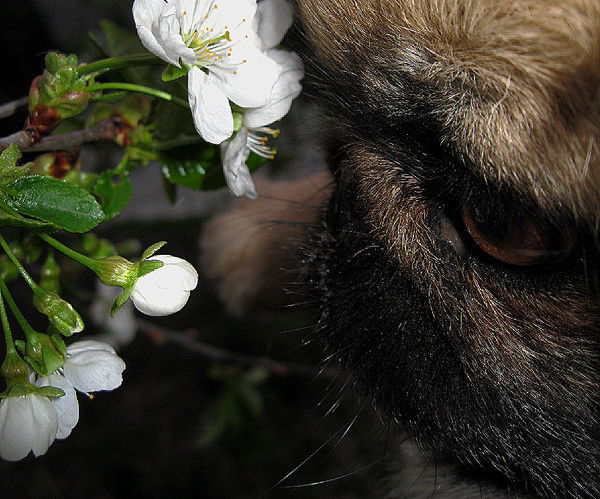 Наталья Коломиец