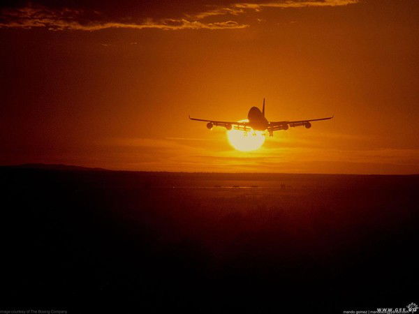 Маргарита Новикова