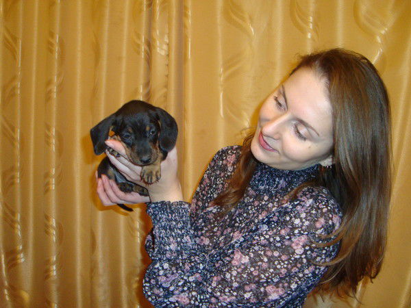 Елена Чуприна