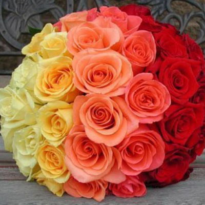 Светлана Губерт