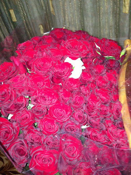 Карлыгаш Амирова