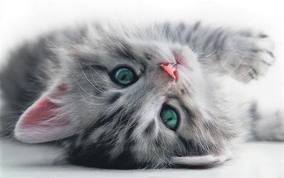 ***аня Нохрина***