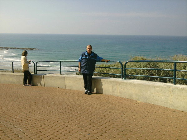 Андрей Ермолаев