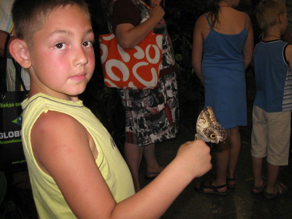 Александр Березуцкий