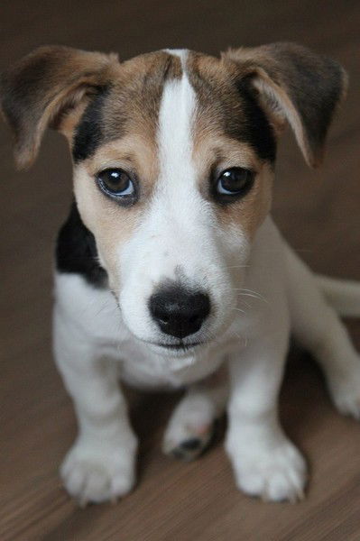 Игорь Фёдоров