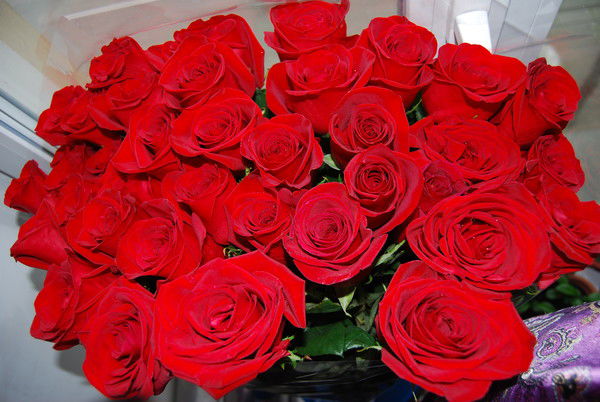 Елена Афанасьева