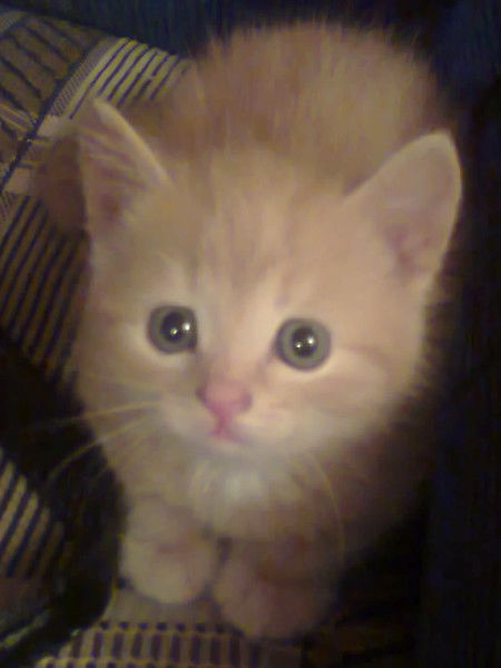 Ляззат Баянова