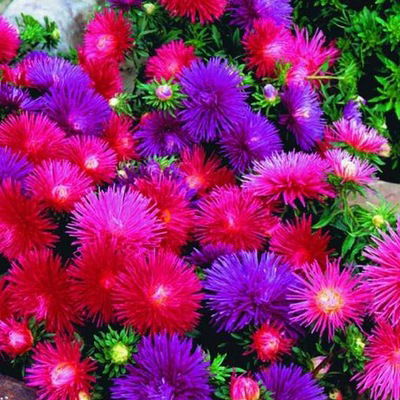 Наталья Скрябина