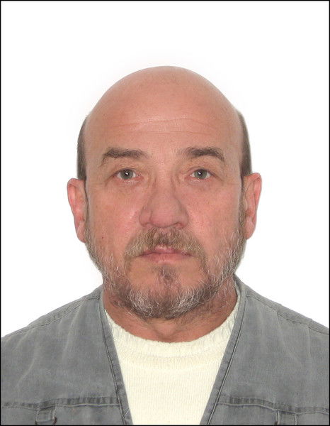 Виктор Пульный