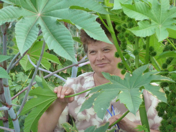 Елена Григорьева