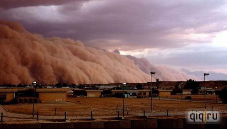 Елена Климович